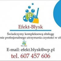 Logo firmy Efekt-Blysk