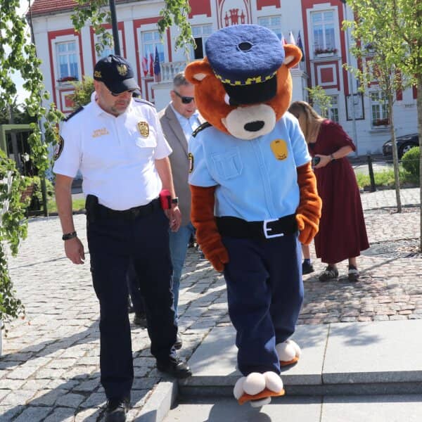Zdjęcie