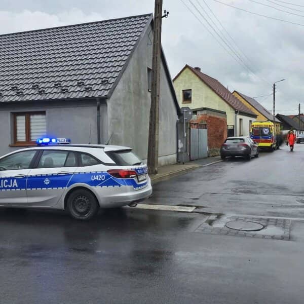 Zdjęcie