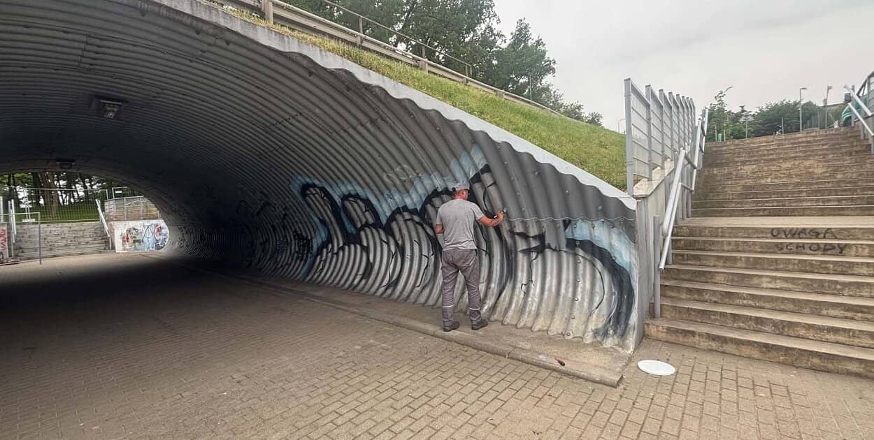 Zdjęcie