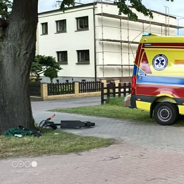 Zdjęcie