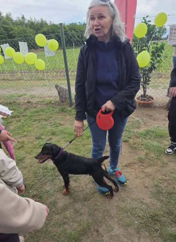 Zdjęcie