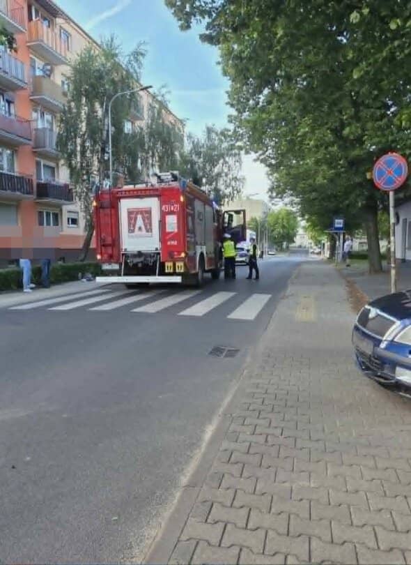 Zdjęcie