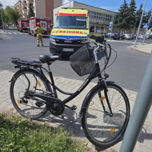 Zdjęcie