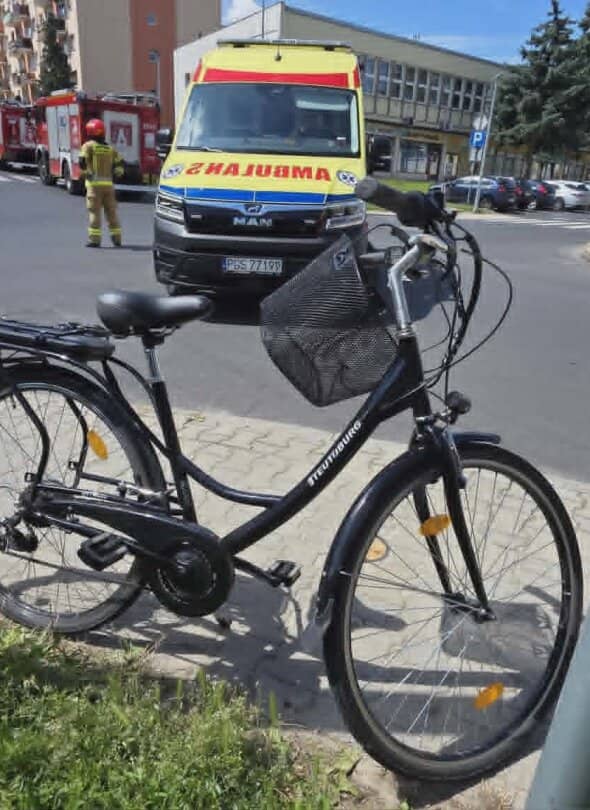 Zdjęcie