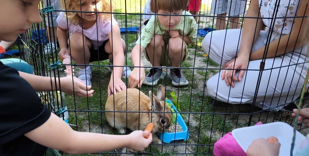 Zdjęcie