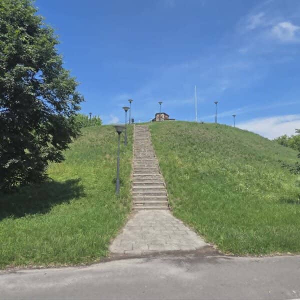 Zdjęcie