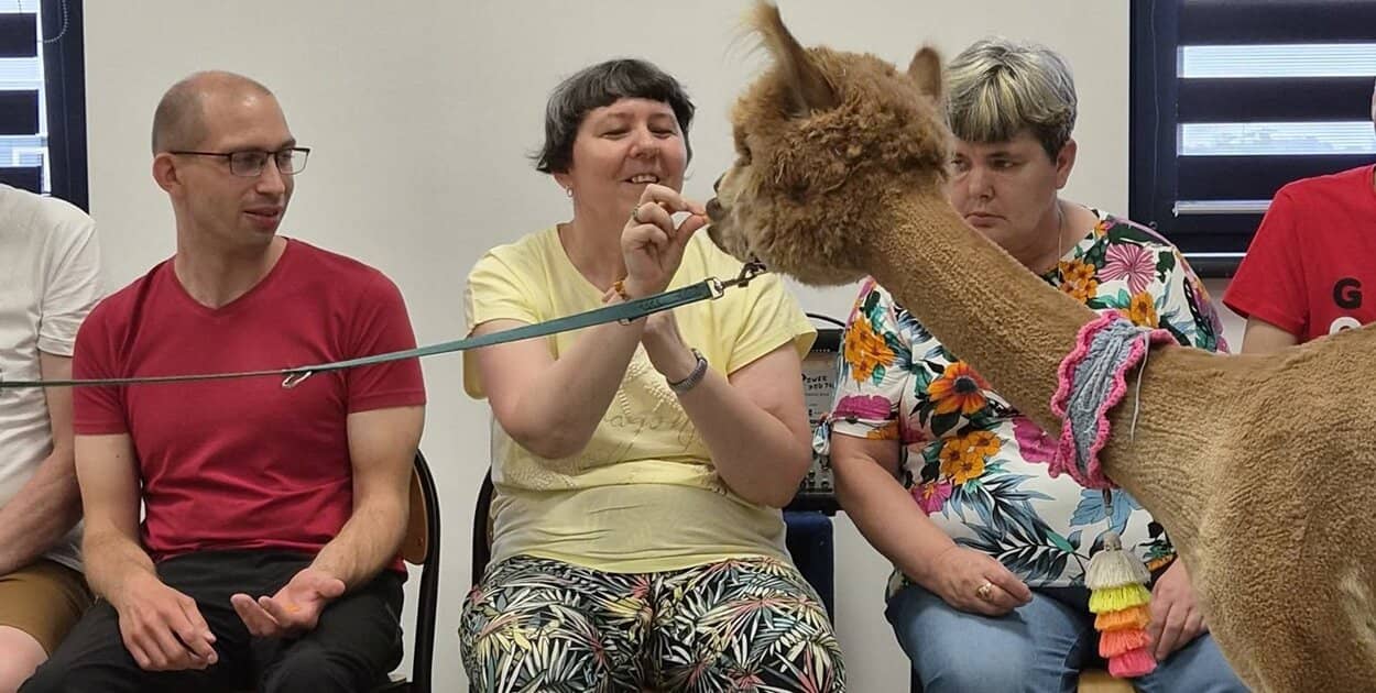 Zdjęcie