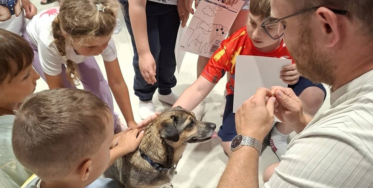 Zdjęcie