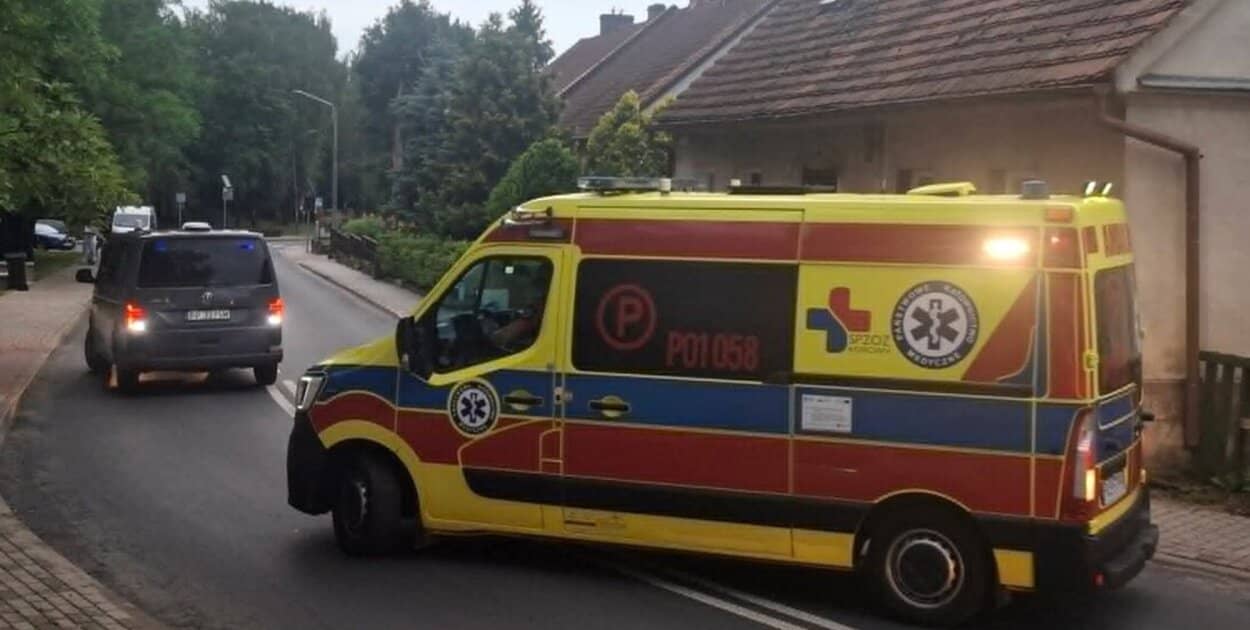 Zdjęcie