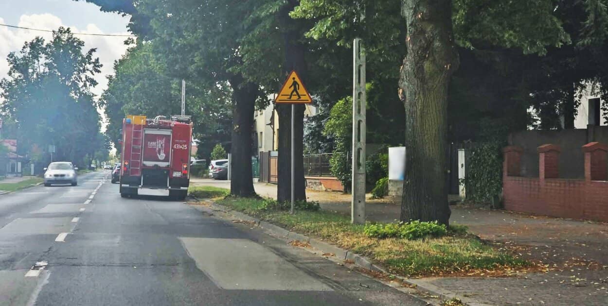 Zdjęcie