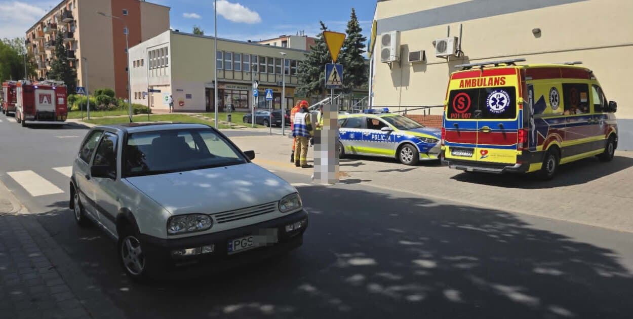 Zdjęcie
