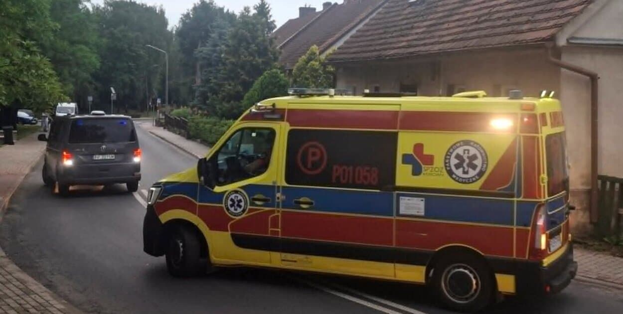 Zdjęcie