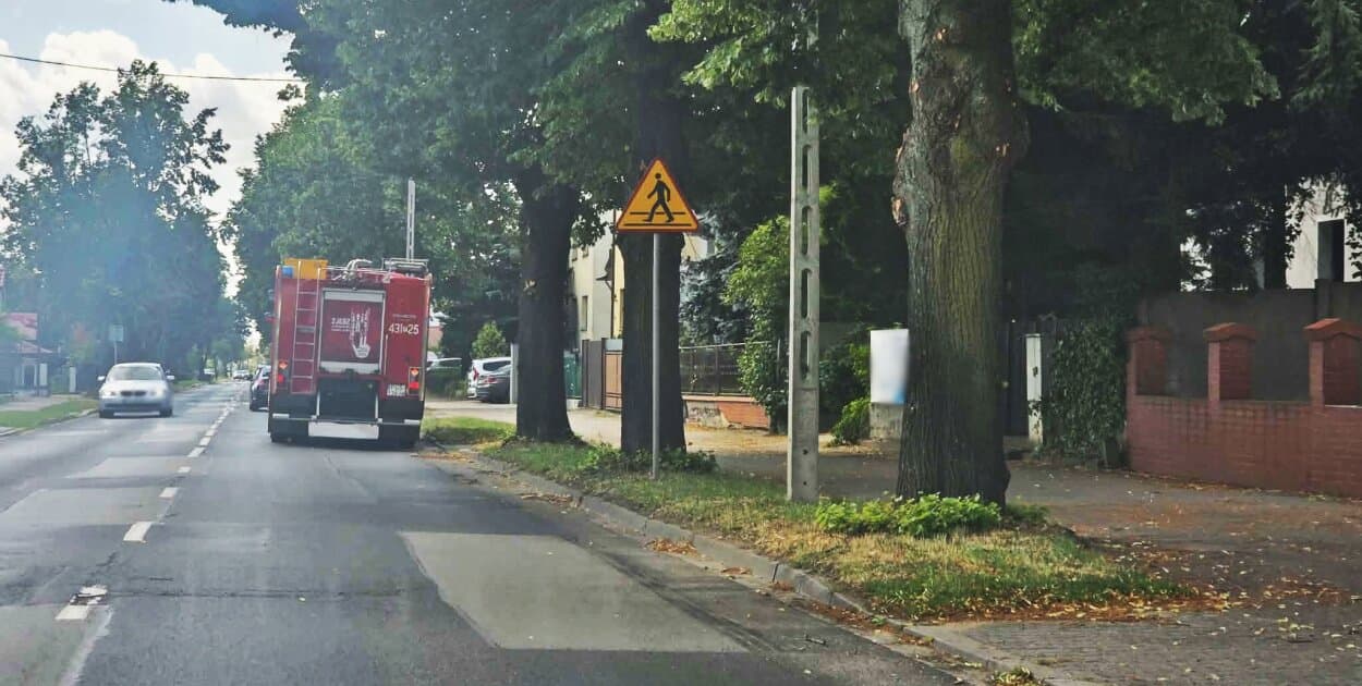 Zdjęcie