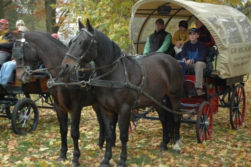 Hubertus w Rokosowie (galeria)