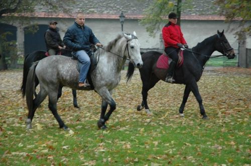 Hubertus w Rokosowie (galeria)