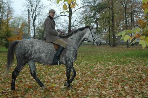 Hubertus w Rokosowie (galeria)