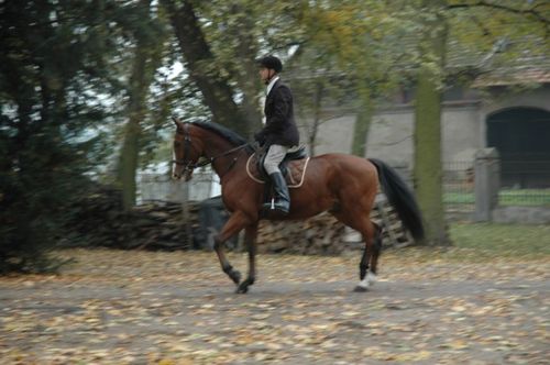 Hubertus w Rokosowie (galeria)