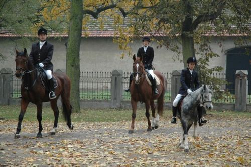 Hubertus w Rokosowie (galeria)