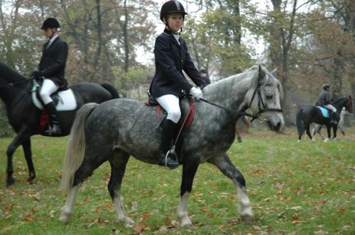 Hubertus w Rokosowie (galeria)
