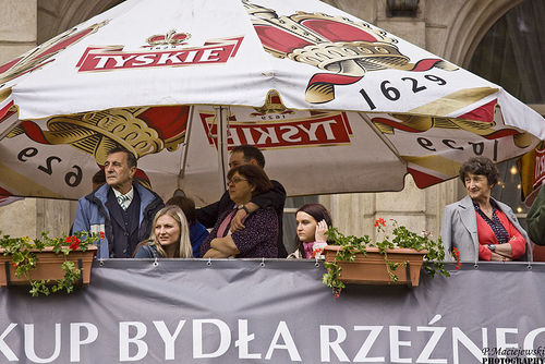 Na wysokim poziomie - galeria