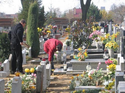 Zdążyć przed świętem (galeria)