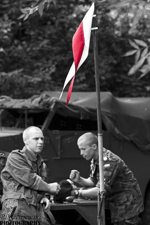 Niepowtarzalne widowisko - galeria