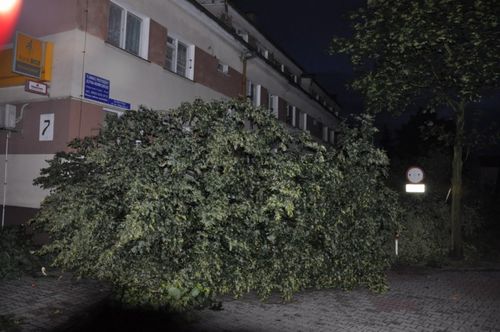 Krajobraz po burzy - fotorelacja