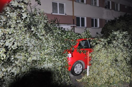Krajobraz po burzy - fotorelacja