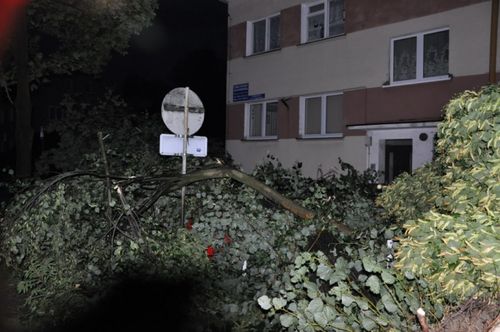 Krajobraz po burzy - fotorelacja