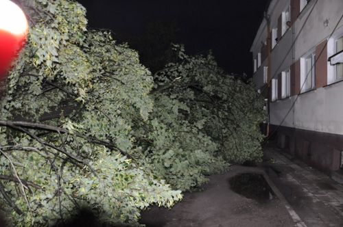 Krajobraz po burzy - fotorelacja