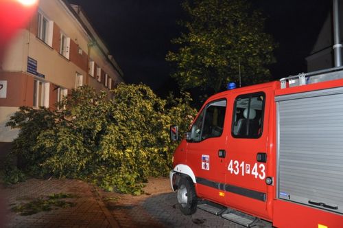 Krajobraz po burzy - fotorelacja