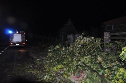 Krajobraz po burzy - fotorelacja