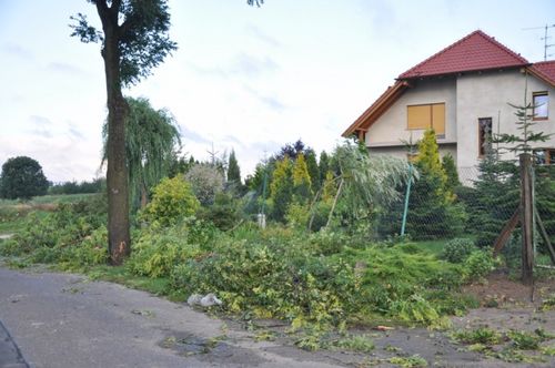 Krajobraz po burzy - fotorelacja