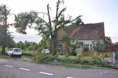 Krajobraz po burzy - fotorelacja