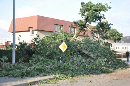 Krajobraz po burzy - fotorelacja