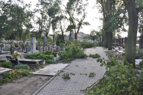 Zniszczenia w parku i na cmentarzu - zdjęcia