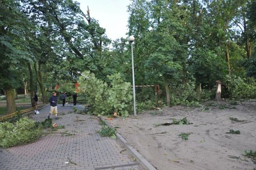 Zniszczenia w parku i na cmentarzu - zdjęcia