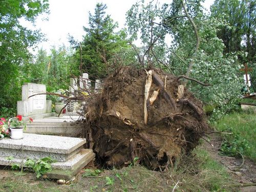 Zniszczenia w parku i na cmentarzu - zdjęcia