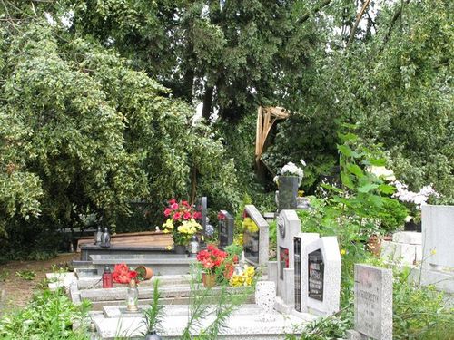 Huragan - zdjęcia przesłane przez czytelników