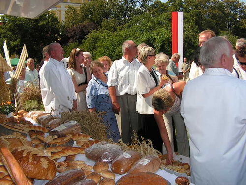 Poświęcili plony - galeria