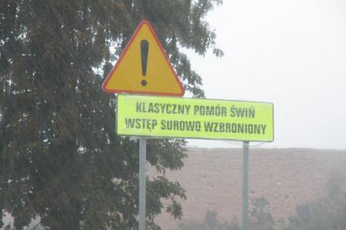 Gotowi na wypadek pomoru - zdjęcia