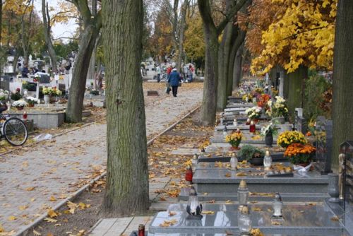 Przed dniem Wszystkich Świętych - galeria