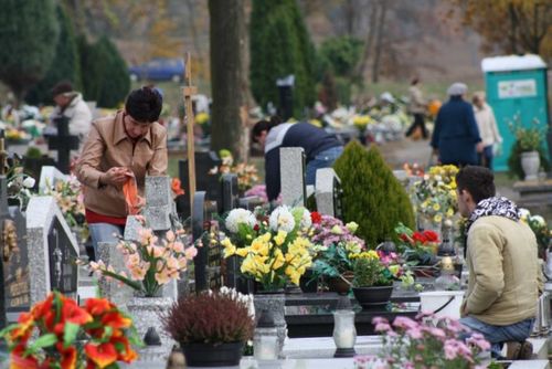 Przed dniem Wszystkich Świętych - galeria