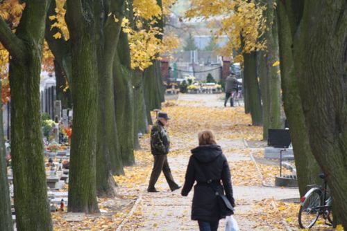 Przed dniem Wszystkich Świętych - galeria