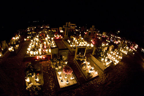 Dzień pełen zadumy - galeria