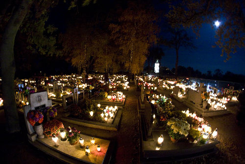 Dzień pełen zadumy - galeria