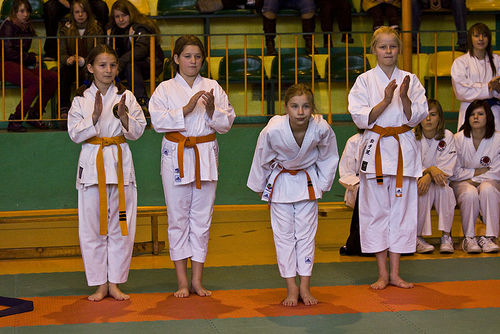 Jubileuszowy Turniej Karate - galeria