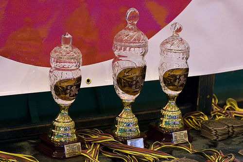 Jubileuszowy Turniej Karate - galeria