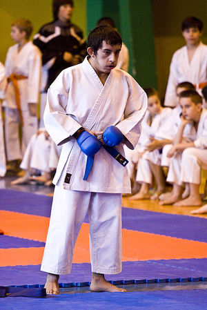 Jubileuszowy Turniej Karate - galeria